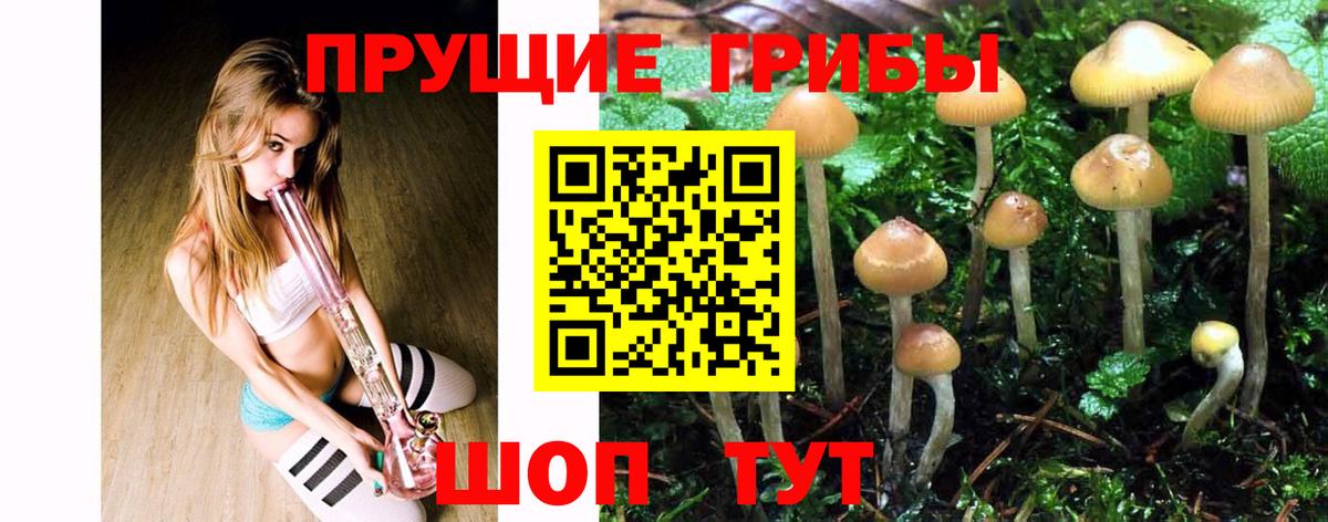 Галлюциногенные грибы GOLDEN TEACHER  Вход с VPN  Гусев  Псилоцибиновые грибы прущие грибы 