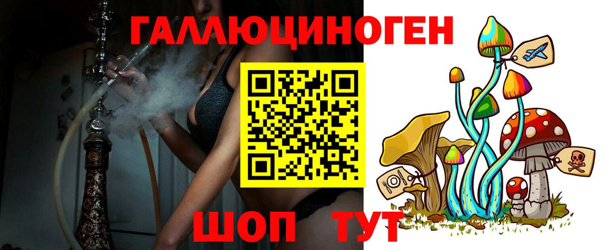 Галлюциногенные грибы мицелий Гусев