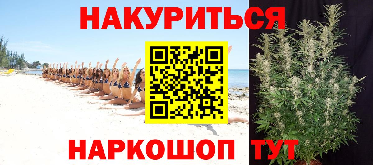 Марихуана сатива Гусев